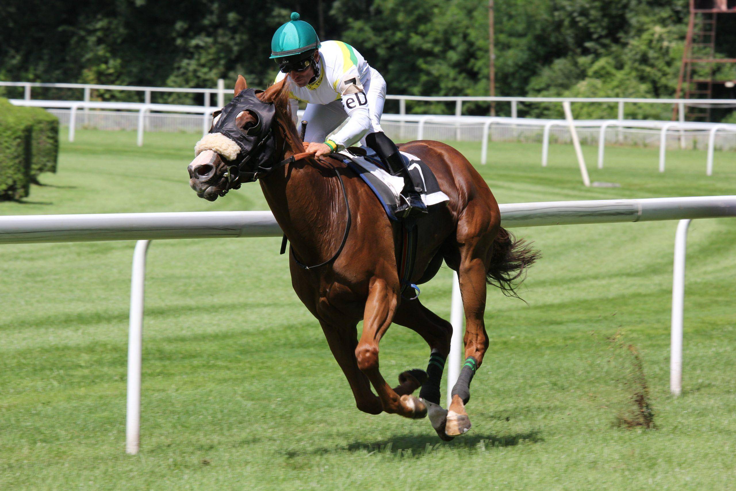 Economie du sport